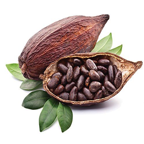 Cocoa Seeds