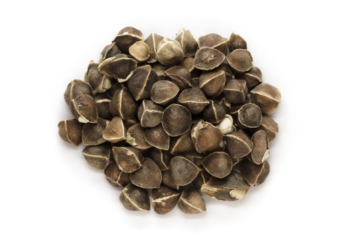 Moringa Seeds