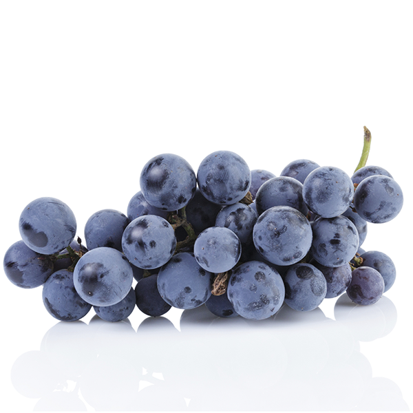 Vin Uplift