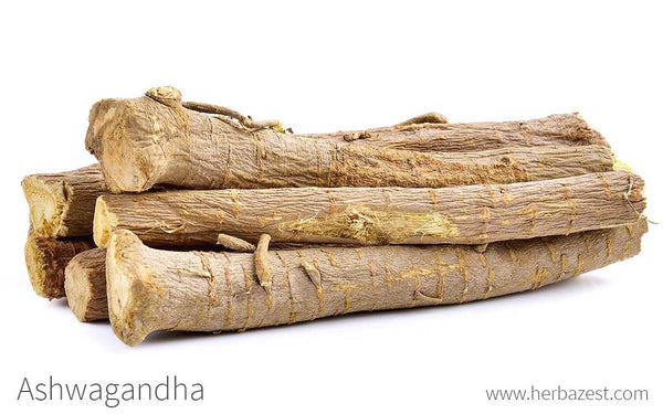 Ashwagandha
