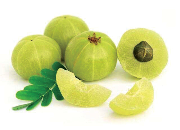 Amla