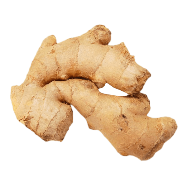 Ginger
