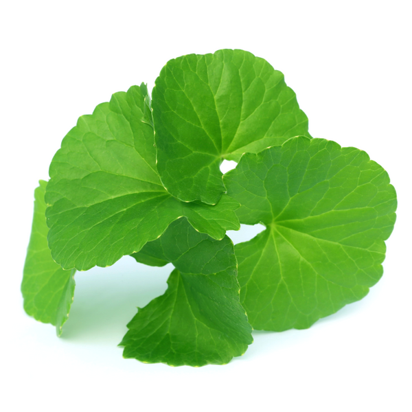 Gotukola